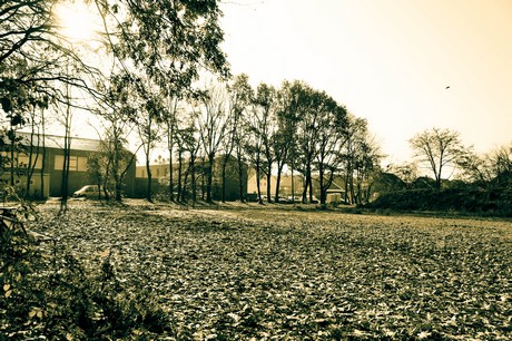 widdersdorf