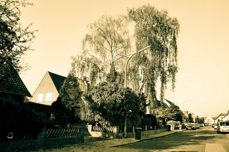 widdersdorf