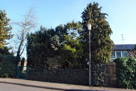 widdersdorf