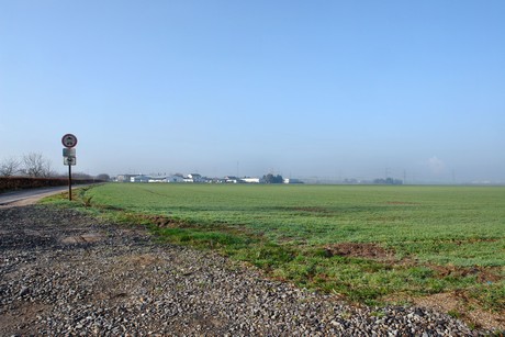 widdersdorf
