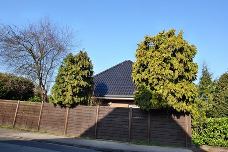 widdersdorf