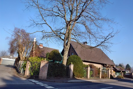 widdersdorf