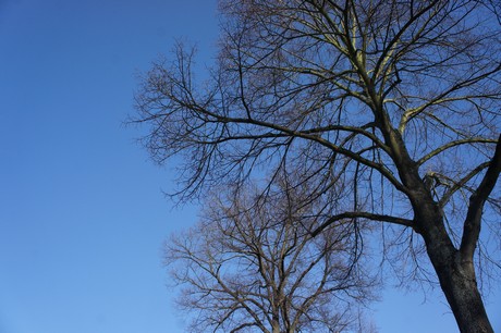 worringen
