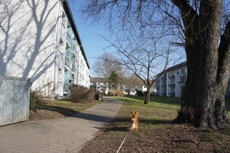 worringen