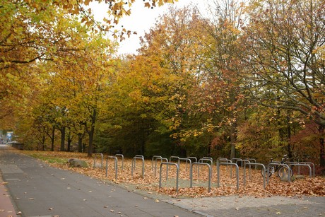 zollstock