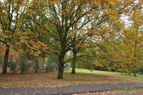 zollstock
