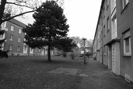 zollstock
