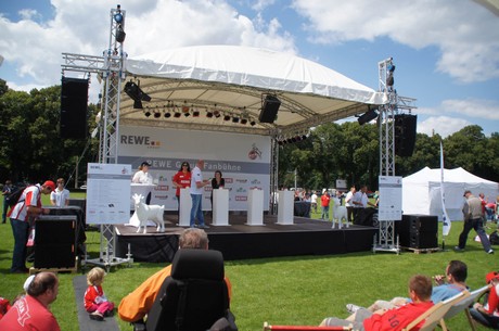 FC-Koeln