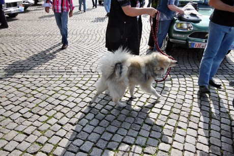 10-tour-de-duesseldorf