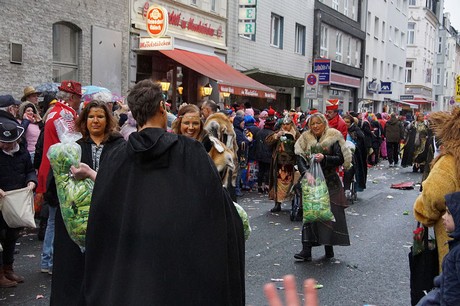 cologne