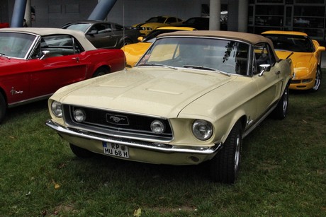 US-Car-Treffen