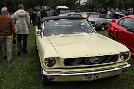 US-Car-Treffen