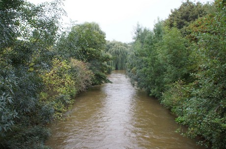 musikmeile-bedburg