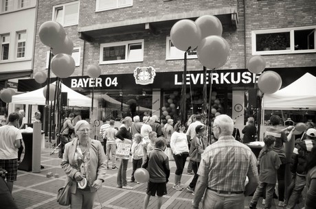 bayer-04