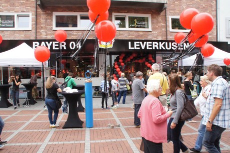 bayer-04
