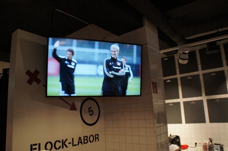 bayer-04