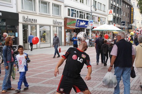 bayer-04