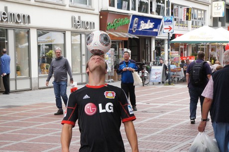 bayer-04