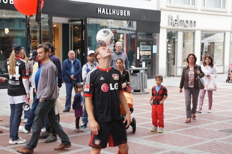 bayer-04