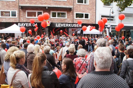 bayer-04