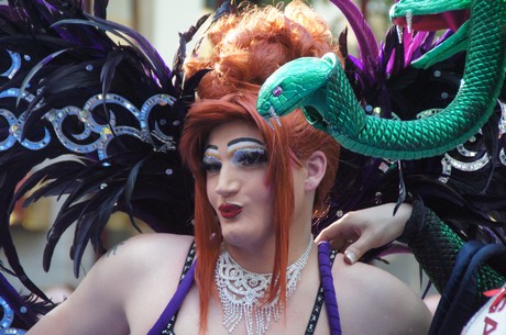 csd