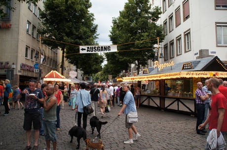 csd