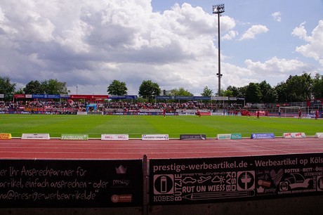 cologne