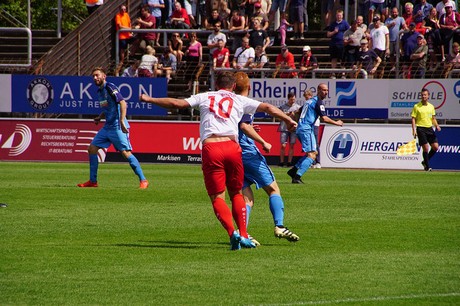 cologne