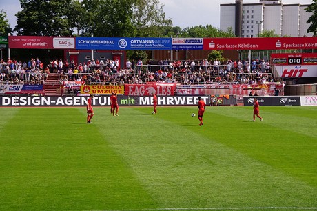 cologne