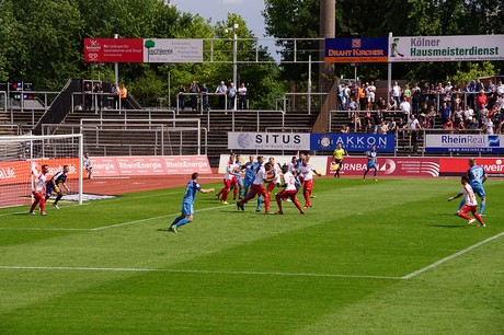 cologne