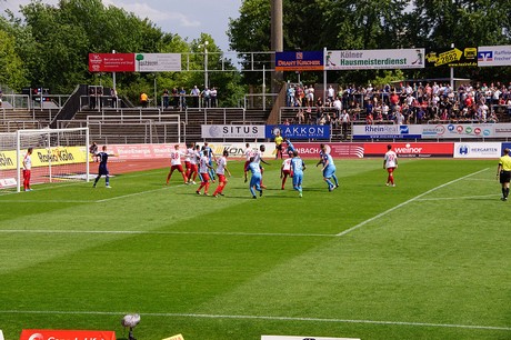 cologne