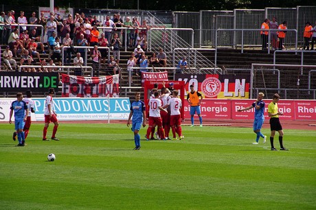 cologne