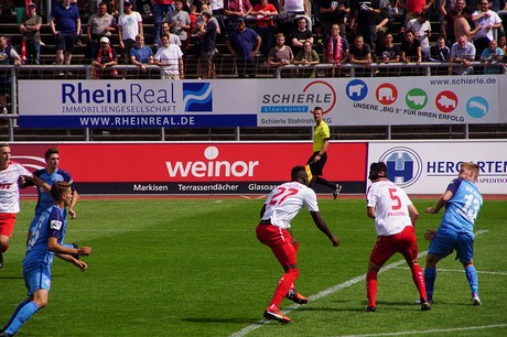 cologne