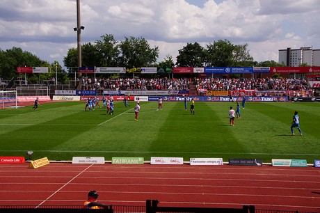 cologne