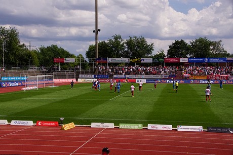 cologne