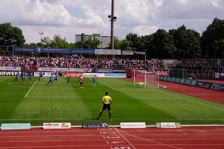 cologne