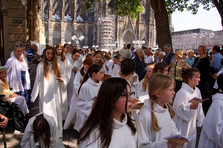 cologne