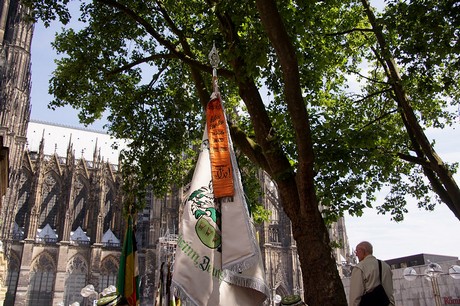 cologne