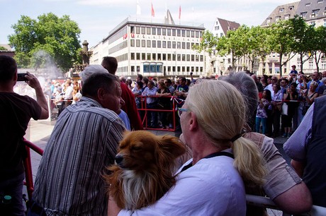 cologne