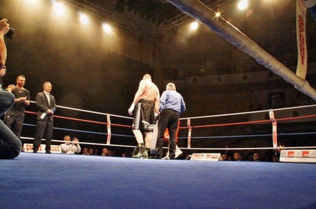 Gala-Dinner-Boxen