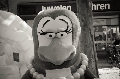 TOGGO-tour