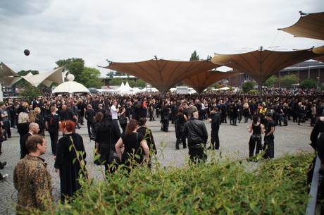 amphi-festilval