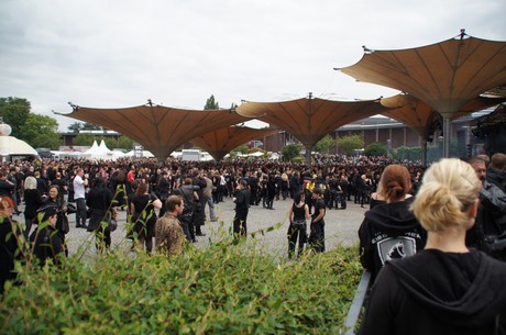 amphi-festilval