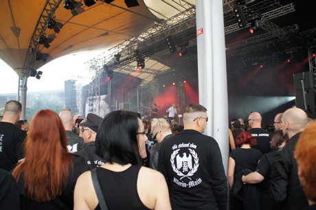 amphi-festilval