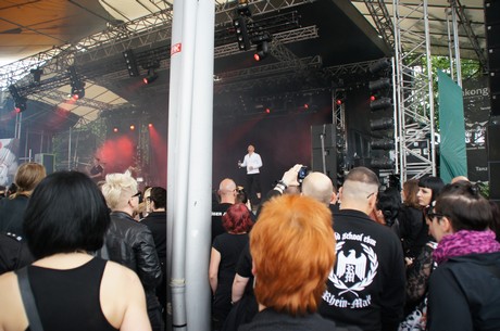 amphi-festilval