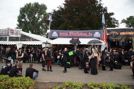 amphi-festilval