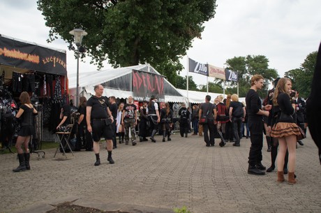 amphi-festilval