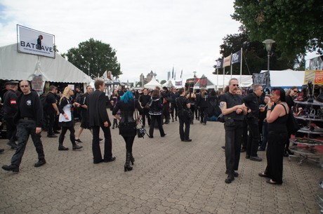 amphi-festilval
