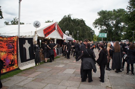 amphi-festilval