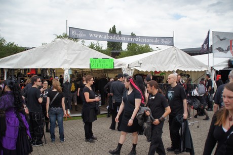amphi-festilval